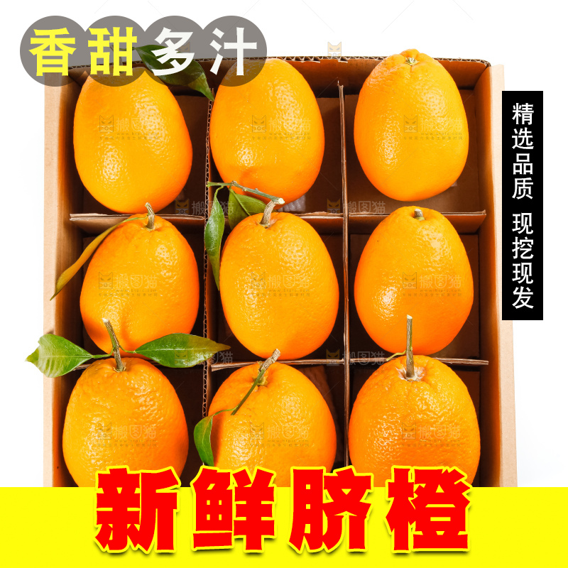 箱子里装着新鲜橙子