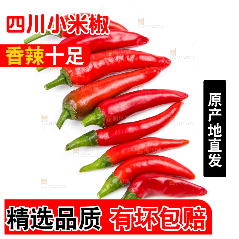 白底上摆放着广西小米椒
