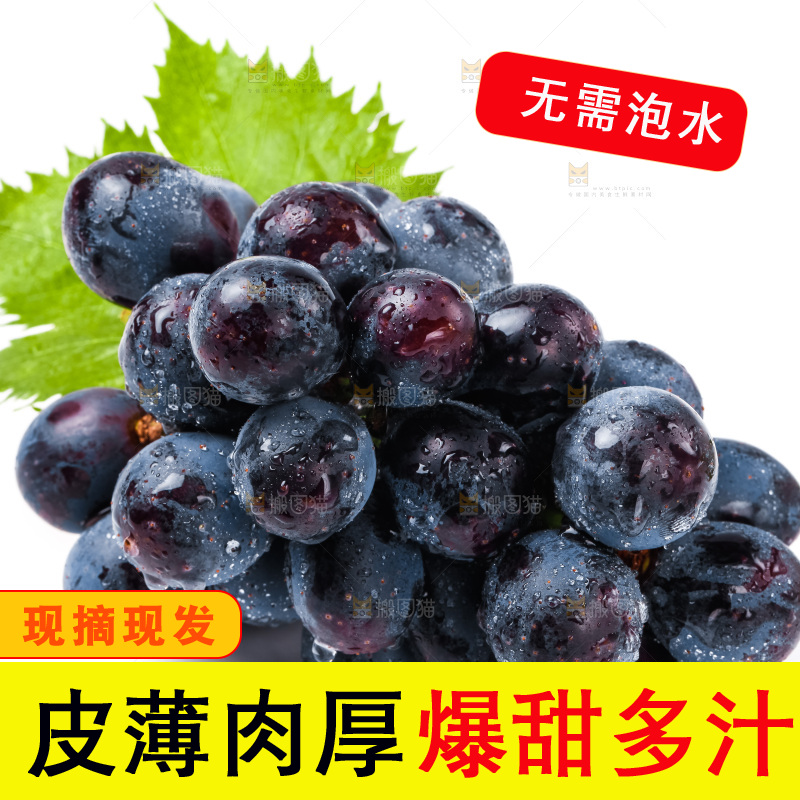 白底上的夏黑葡萄