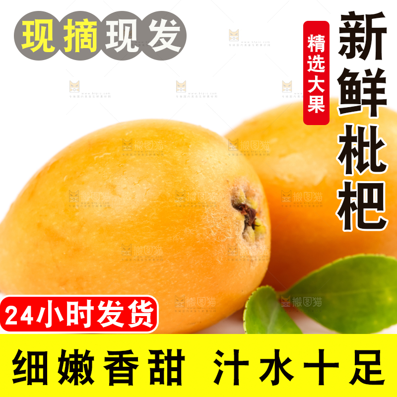 白底上放着攀枝花米易枇杷