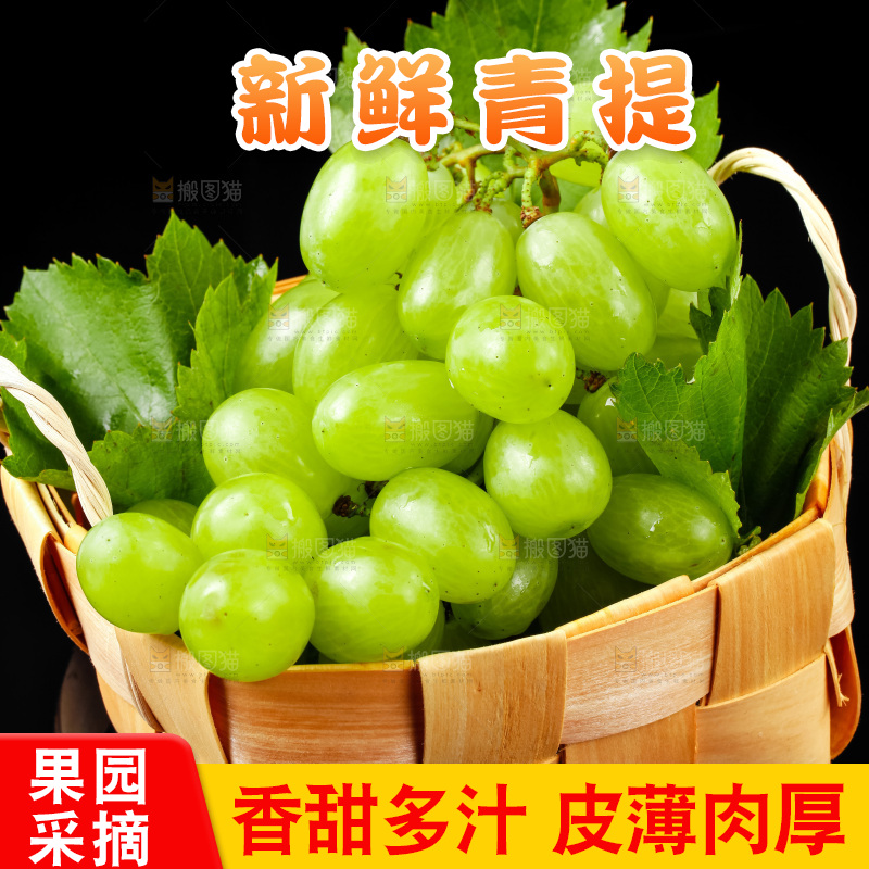 黑底上放着一筐新鲜青提