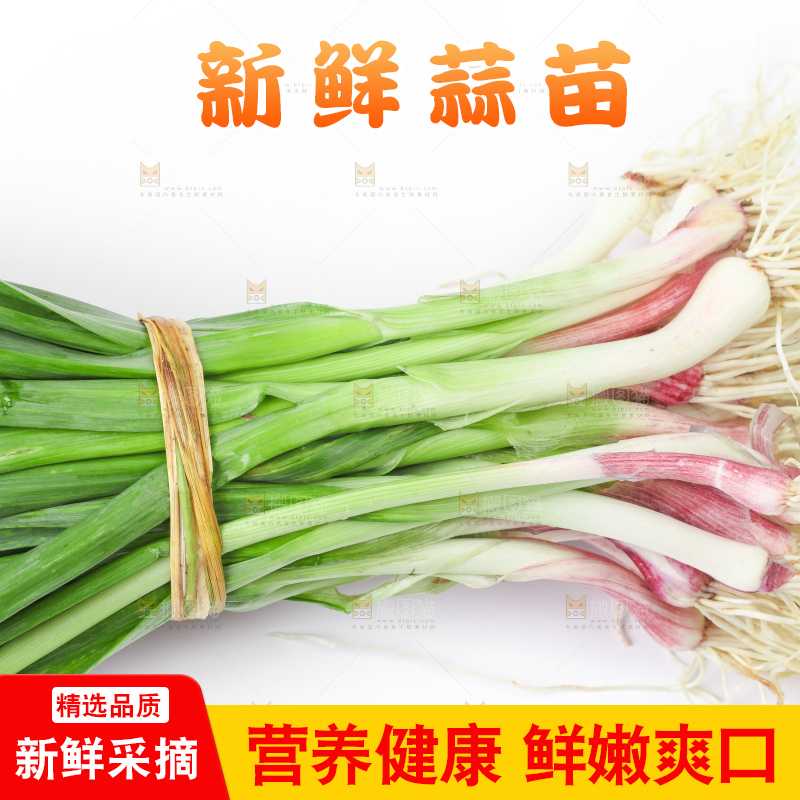 白底上放着蒜苗