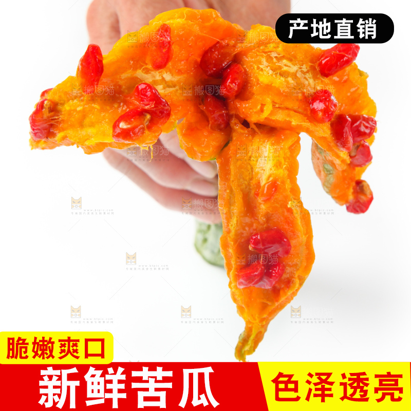 白底上的老苦瓜