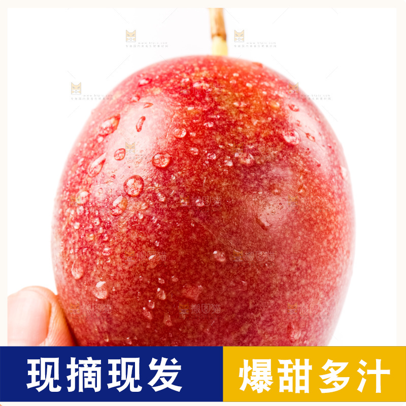手拿紫皮百香果