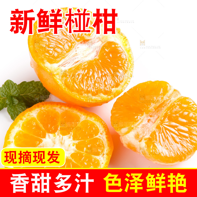 白底上的永春芦柑