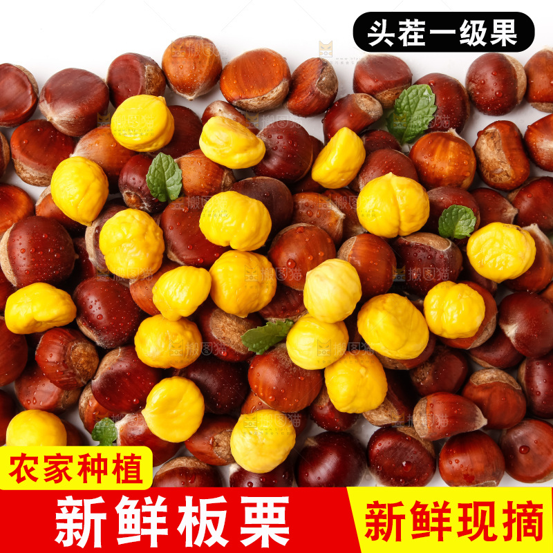 白底上的新鲜栗子