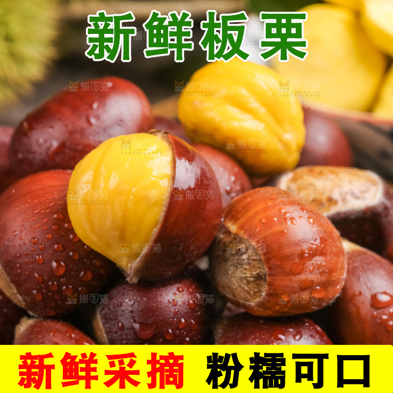 深底上的迁西板栗
