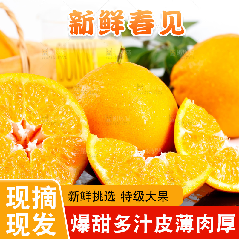 黑石板上的春见耙耙柑