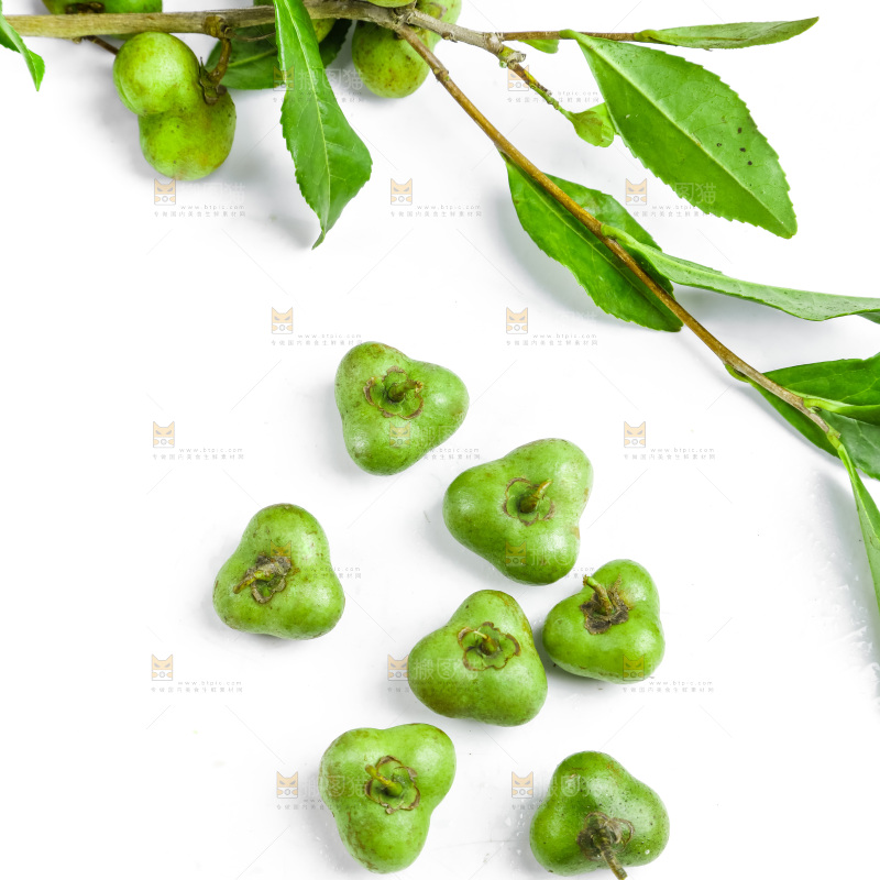 白底上摆放着茶叶子