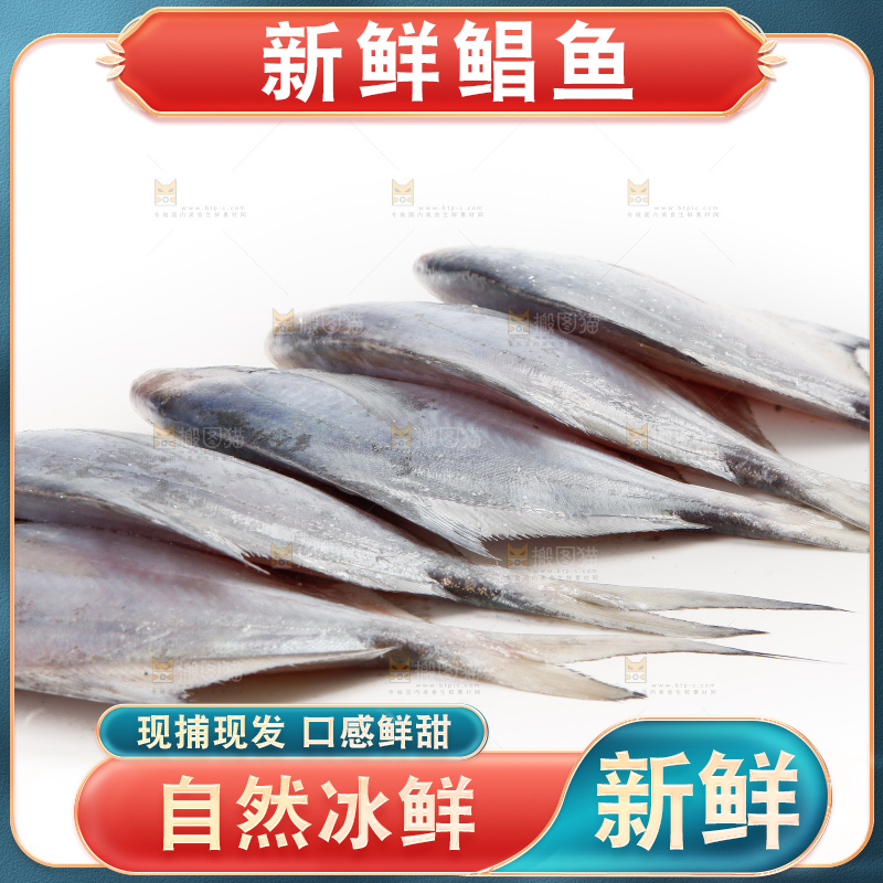 白底上的深海银鲳鱼