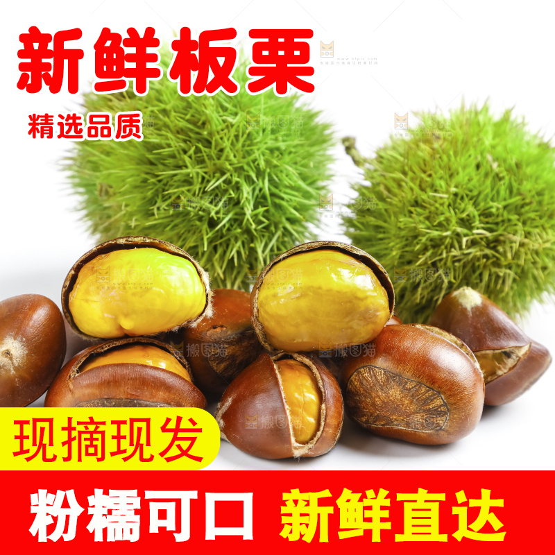 白底上摆放着迁西板栗
