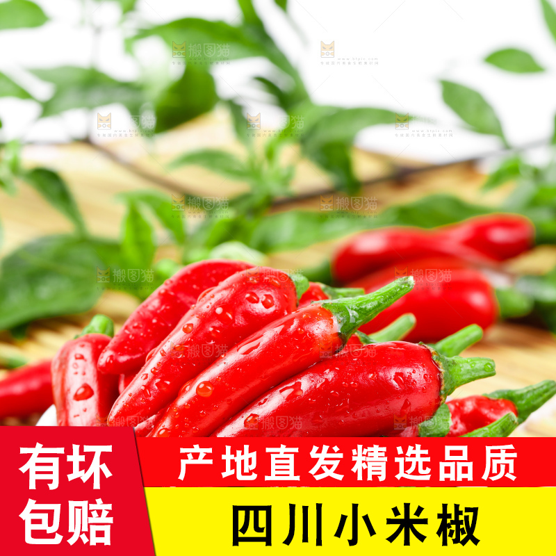 竹底上的朝天椒