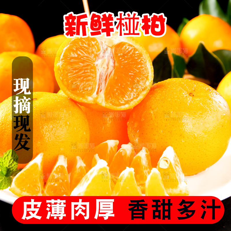 盘子里装着椪柑橘