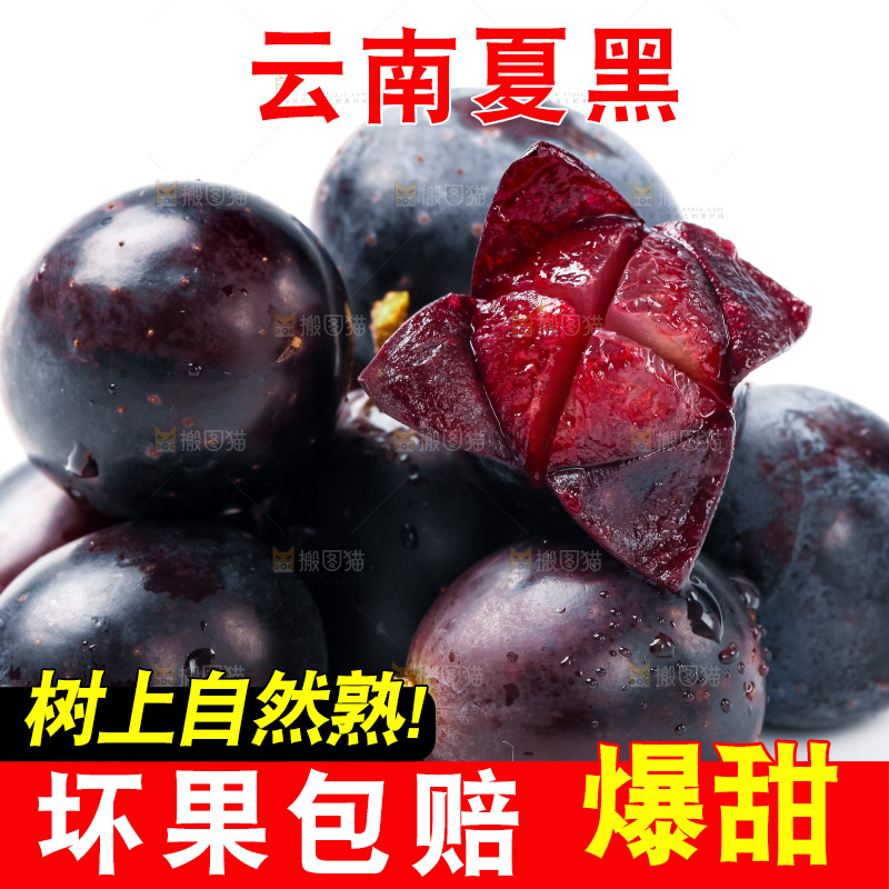 云南夏黑葡萄放在白底上