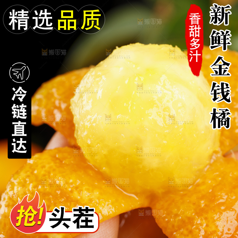 黑底上的小金桔