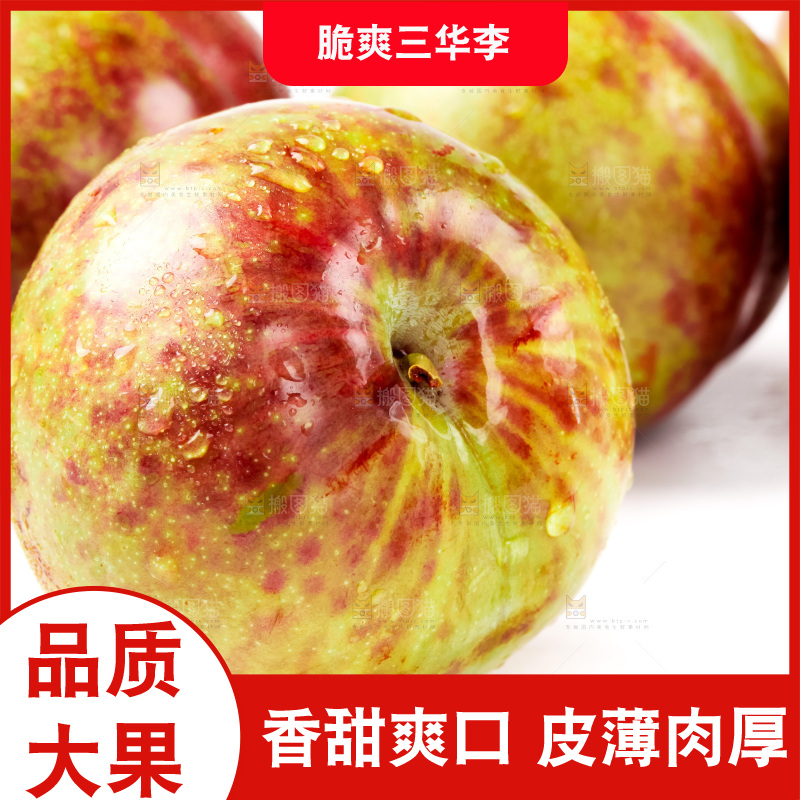 白底上的三华李