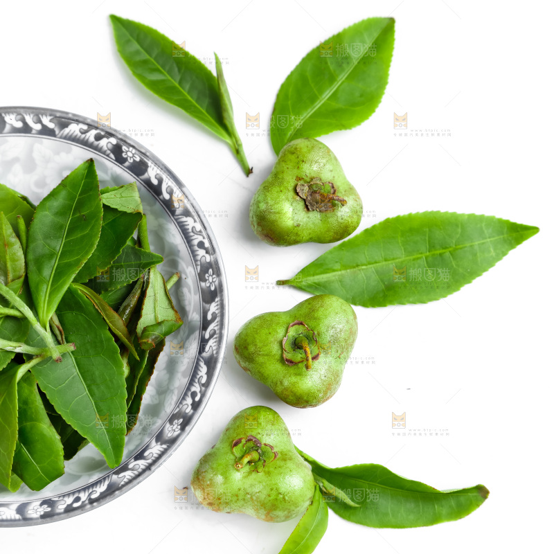 白底上放着绿茶叶