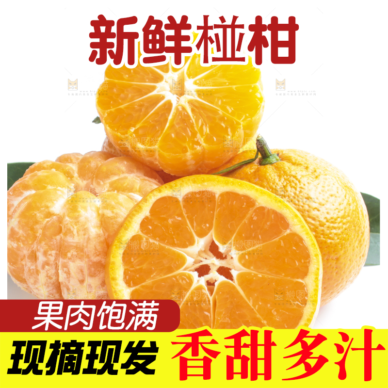 白底上摆放着四川椪柑