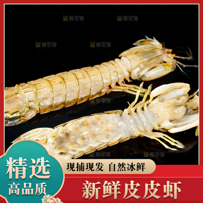 黑底上摆放着舟山皮皮虾