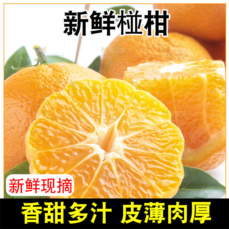 白底上放着四川椪柑