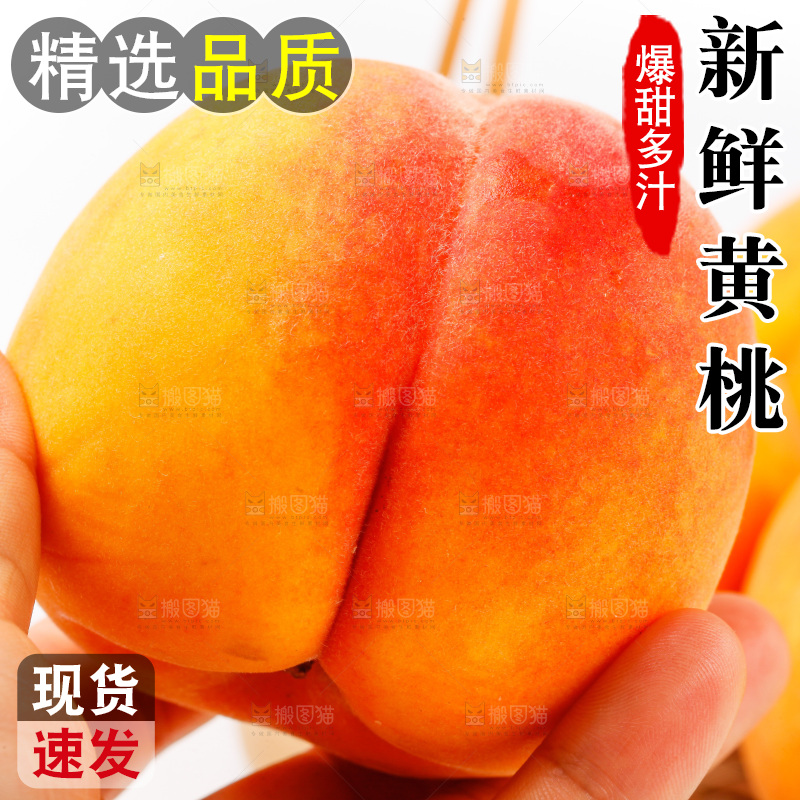 手拿新鲜黄桃