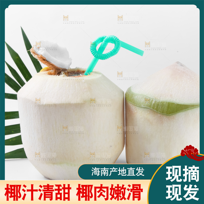 白底上青椰子