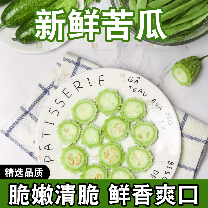 浅底上的苦瓜