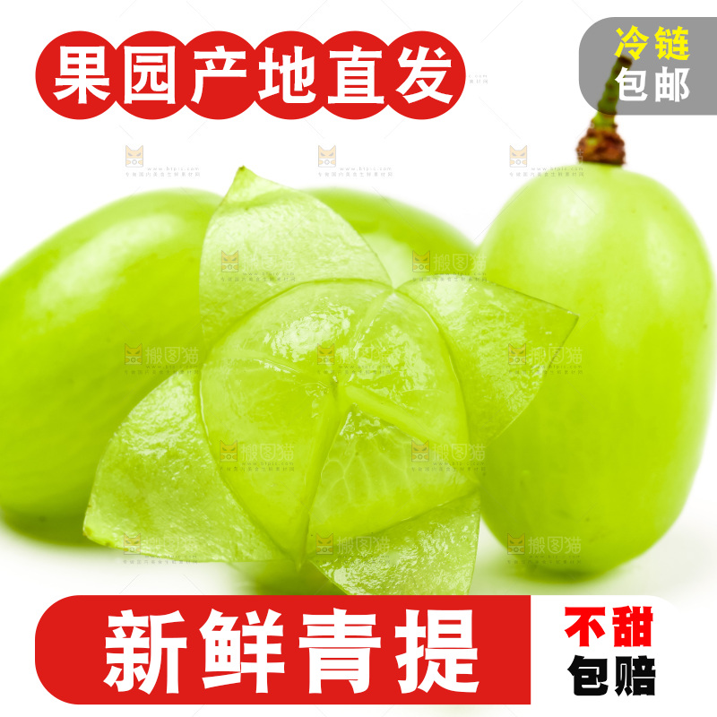 白底上的青提子