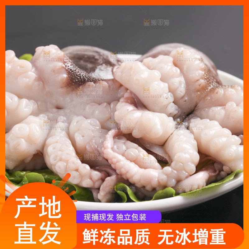 黑底上放着八爪鱼