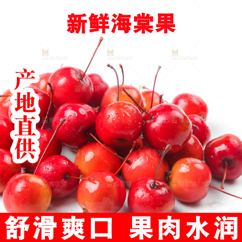 白底上的东北海棠果