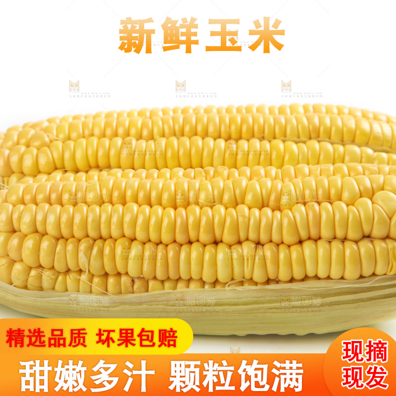白底上放着黄玉米