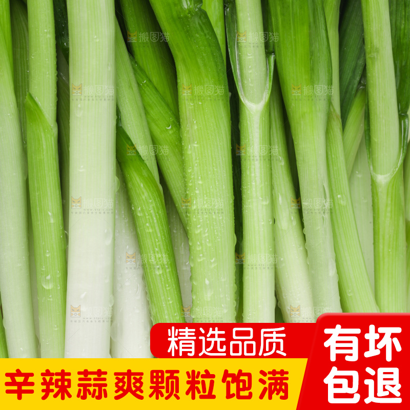 白底上放着蒜苗