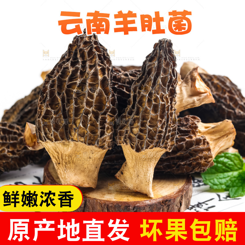 干羊肚菌放在浅底上