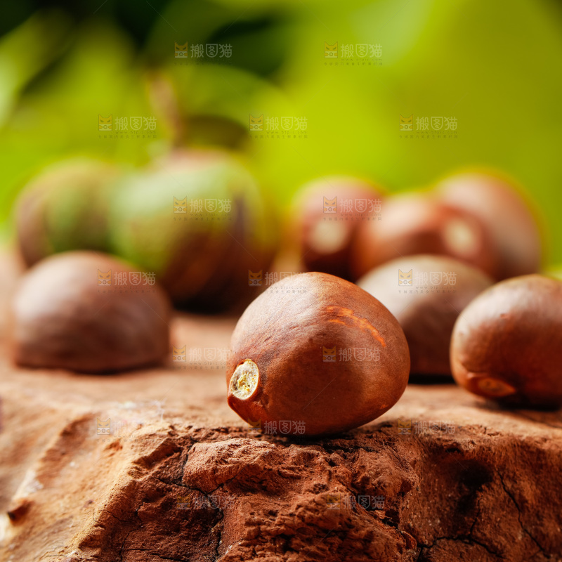木板上放着茶籽