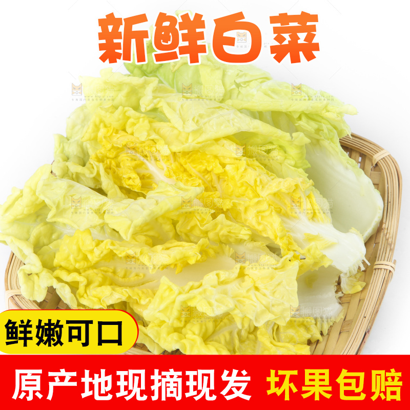 篮子里装着白菜