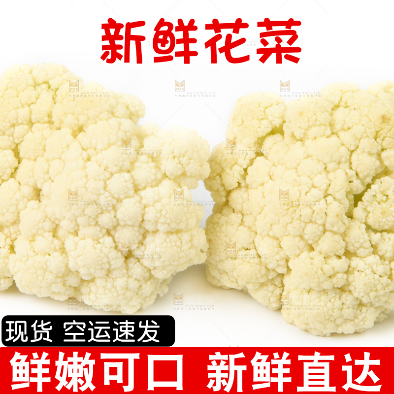 白底上的白花菜