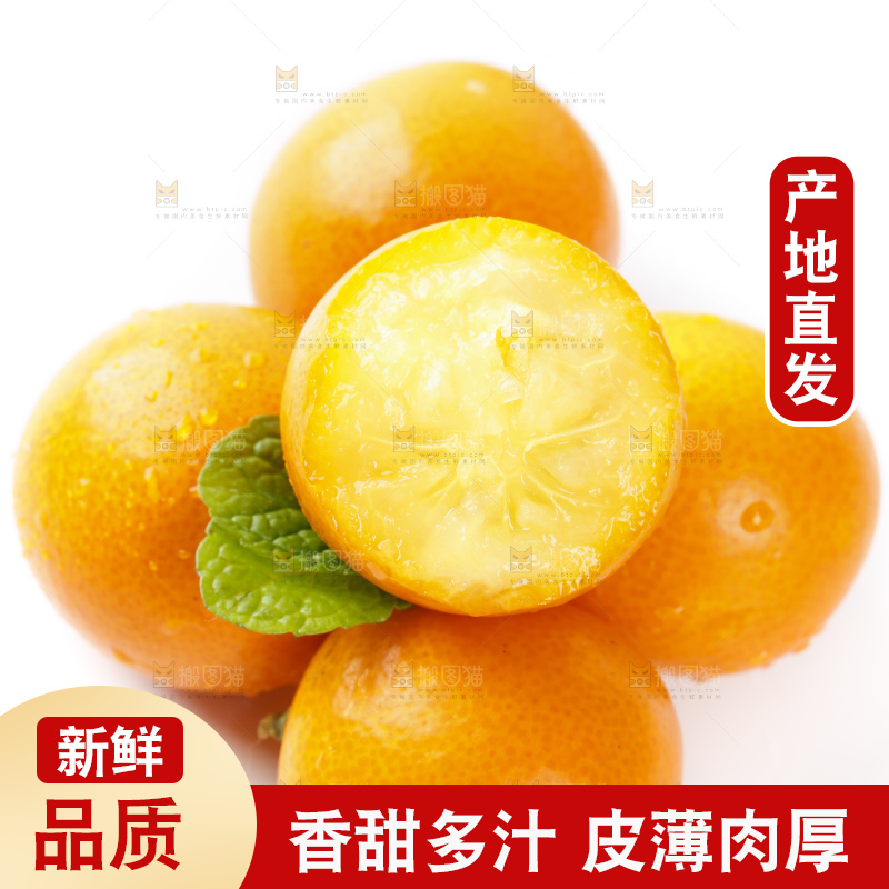 白底上的金桔