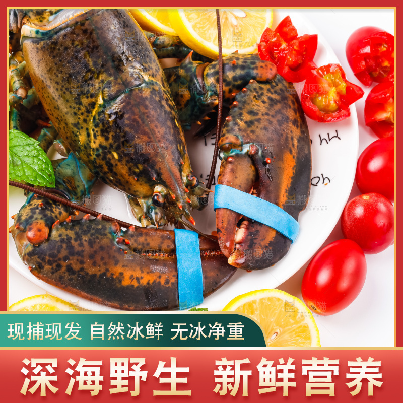 白底上放着一盘龙虾