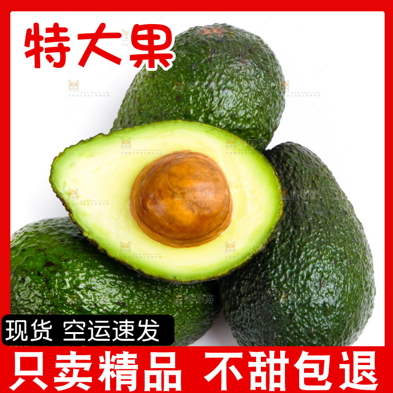 新鲜牛油果放在白底上