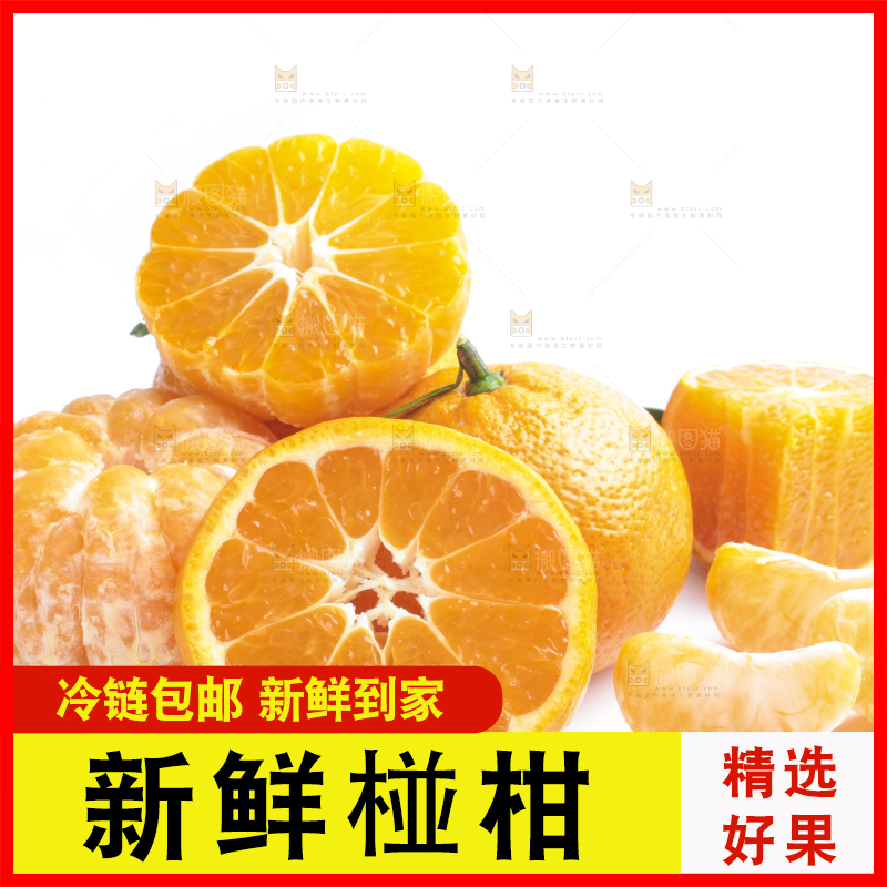 白底上摆放着四川椪柑