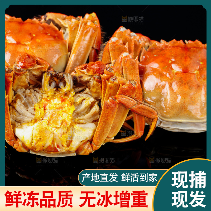 黑底上放着清蒸螃蟹