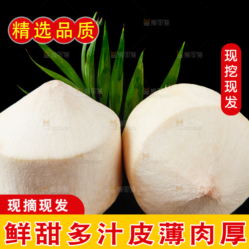 黑底上的青椰子