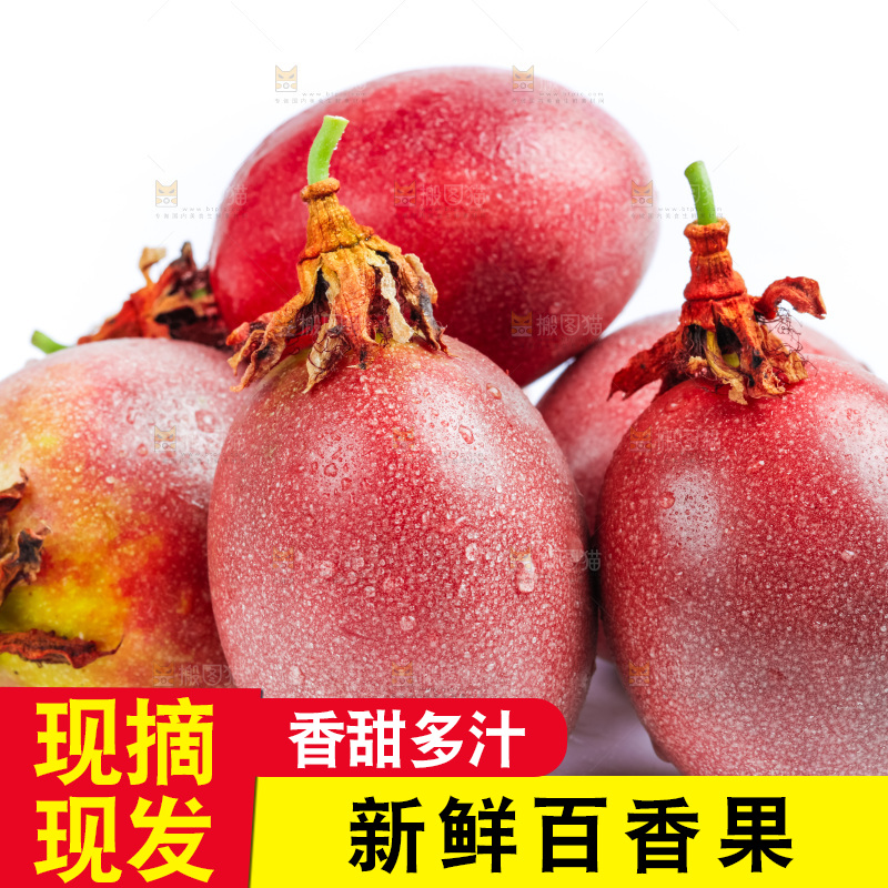白底上的百香果