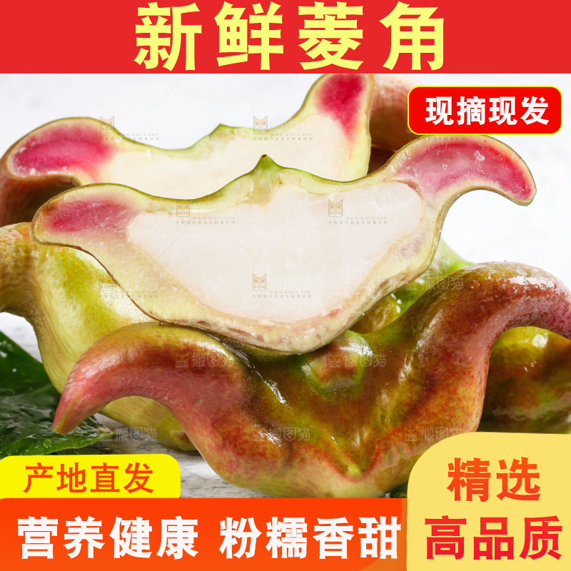 白底上的菱角