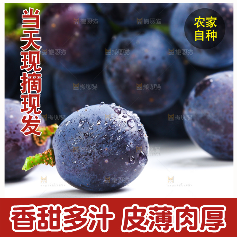 浅底上放着云南夏黑葡萄