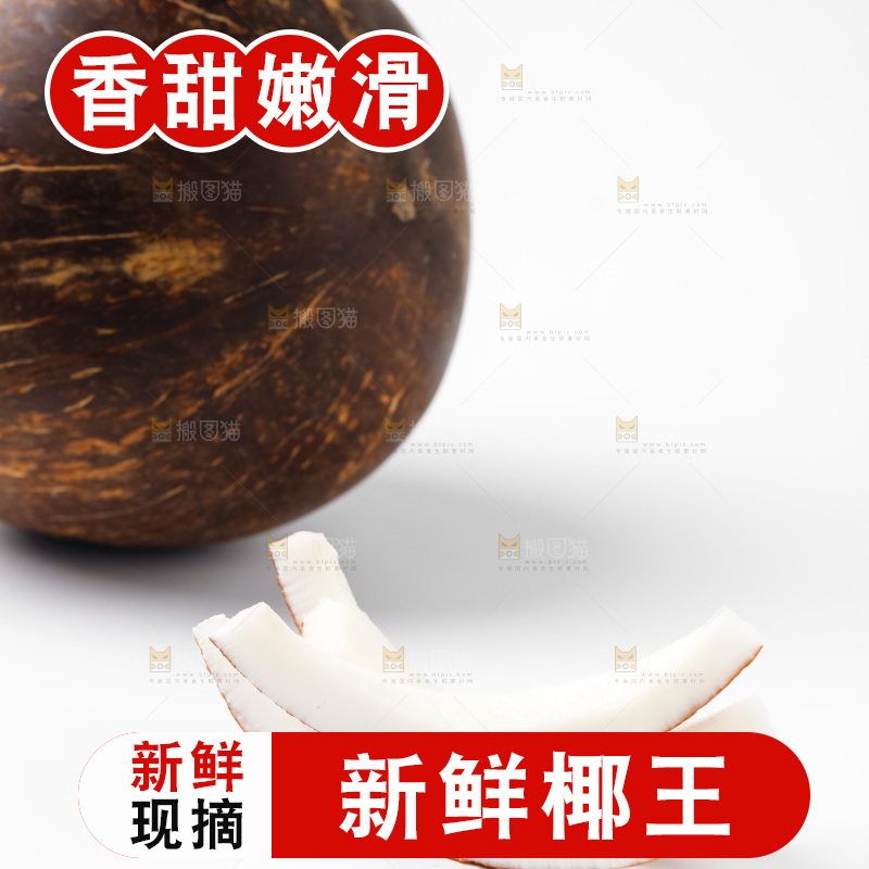 浅底上的椰皇