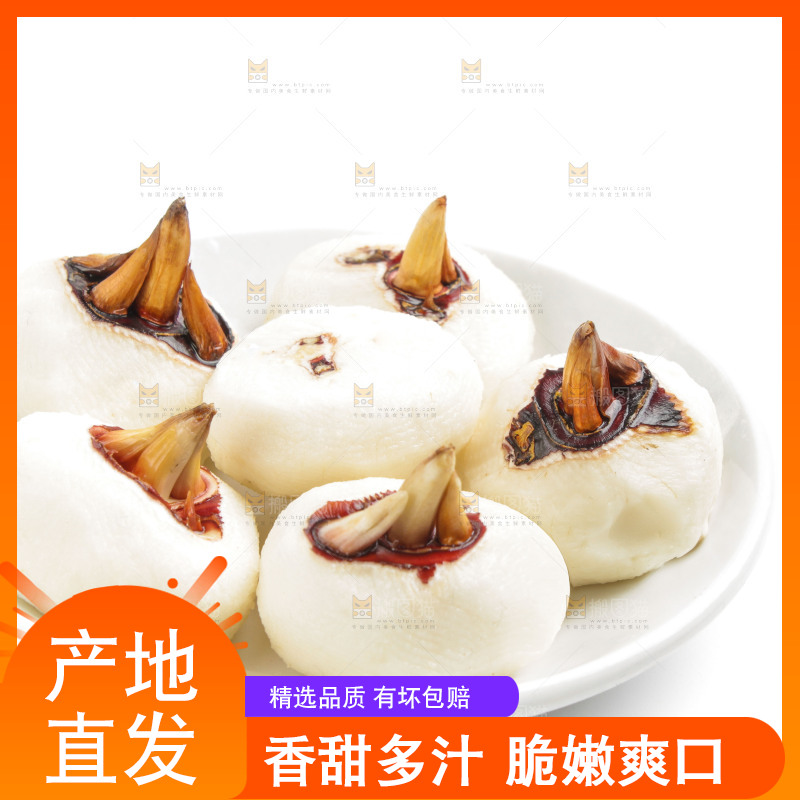 白底上摆放着广西荔浦马蹄
