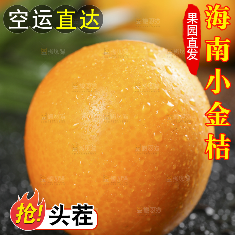 黑石板上的广西金钱橘