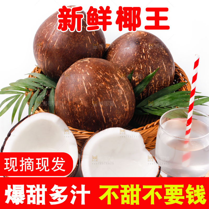 白底上放着椰王