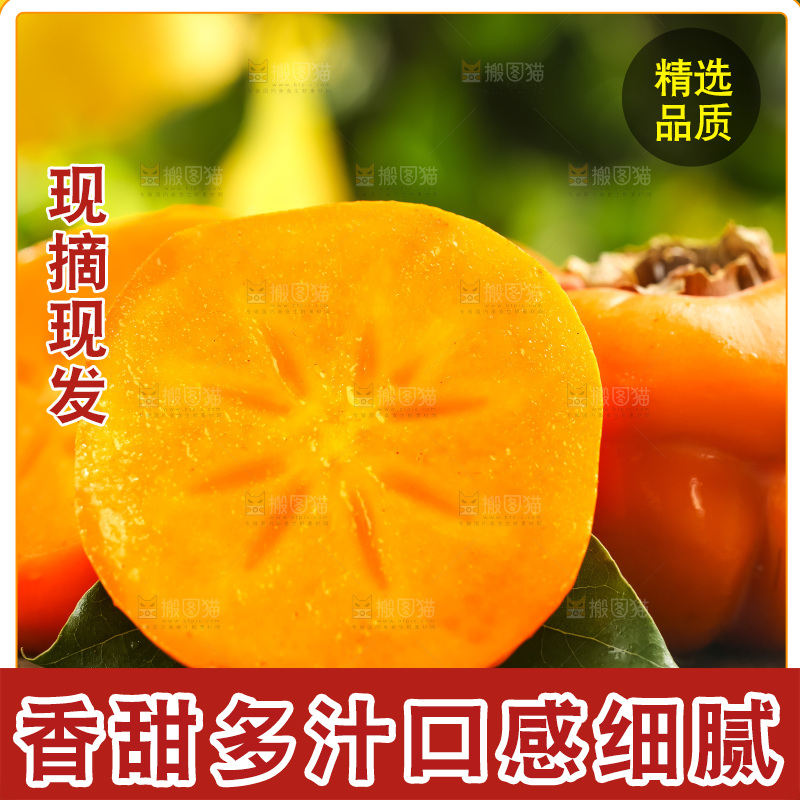 木底上的磨盘大柿子